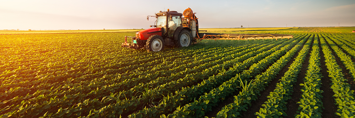 sustainable agriculture in Sudan