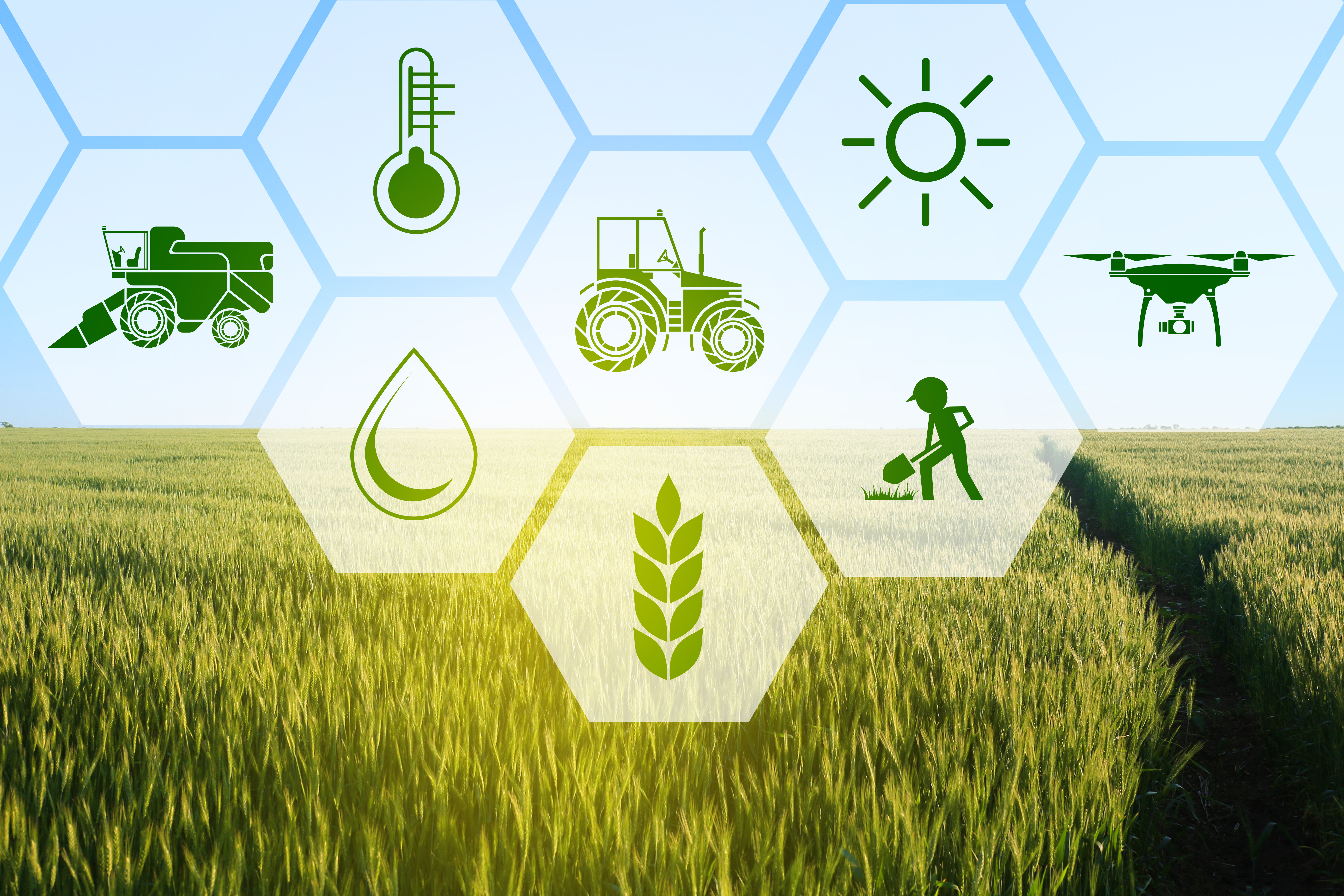 Ecork features - sustainable agriculture